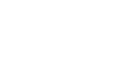 Basler Family Chiropractic Icon